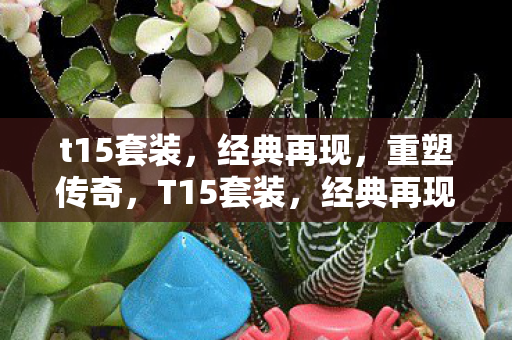 t15套装,经典再现,重塑传奇,T15套装,经典再现,重塑传奇 t15套装,经典再现,重塑传奇,T15套装,经典再现,重塑传奇