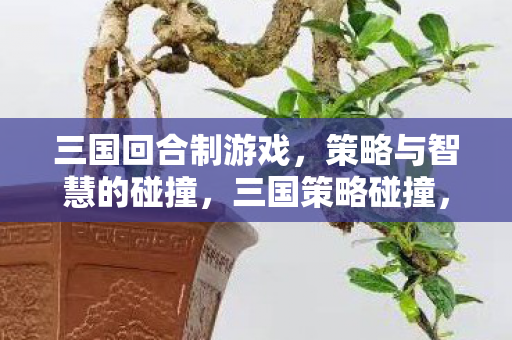 三国回合制游戏,策略与智慧的碰撞,三国策略碰撞,回合制游戏中的智慧对决 三国回合制游戏,策略与智慧的碰撞,三国策略碰撞,回合制游戏中的智慧对决