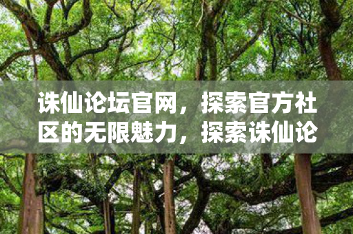 探索官方社区的无限魅力图片