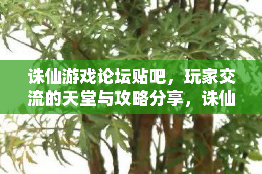 玩家交流的天堂与攻略分享图片