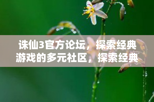 探索经典游戏的多元社区图片