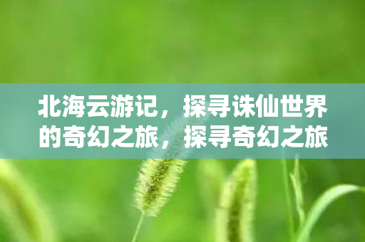 北海云游记与诛仙世界的交汇图片