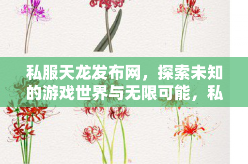 私服天龙发布网，探索未知的游戏世界与无限可能，私服天龙发布网，探索未知游戏世界，解锁无限可能