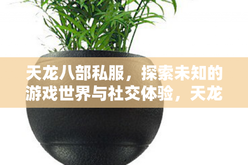 探索未知的游戏世界与社交体验图片