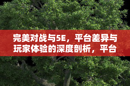 完美对战与5E，平台差异与玩家体验的深度剖析，平台差异与玩家体验，完美对战与5E的深度剖析