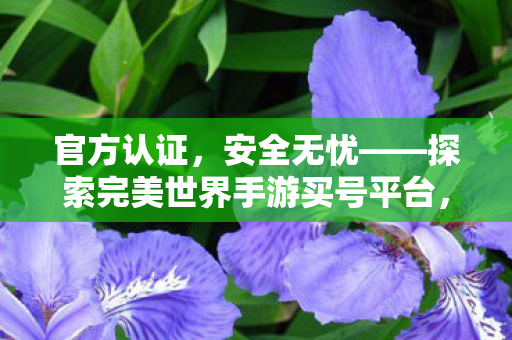 官方认证，安全无忧——探索完美世界手游买号平台，官方认证，安全无忧——探索完美号平台