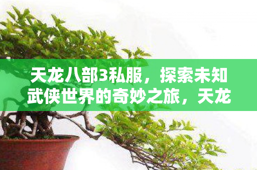 天龙八部3私服，探索未知武侠世界的奇妙之旅，天龙八部3私服，探索未知武侠世界的奇妙之旅