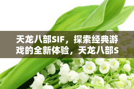 天龙八部SIF，探索经典游戏的全新体验，天龙八部SIF，经典游戏的全新探索体验
