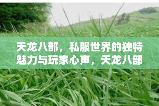 私服世界的独特魅力与玩家心声图片