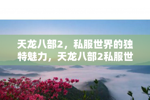 天龙八部2，私服世界的独特魅力，天龙八部2私服世界，独特魅力揭秘