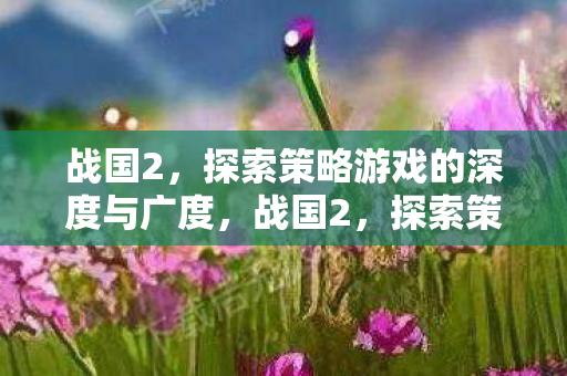 战国2,探索策略游戏的深度与广度,战国2,探索策略游戏的深度与广度 战国2,探索策略游戏的深度与广度,战国2,探索策略游戏的深度与广度