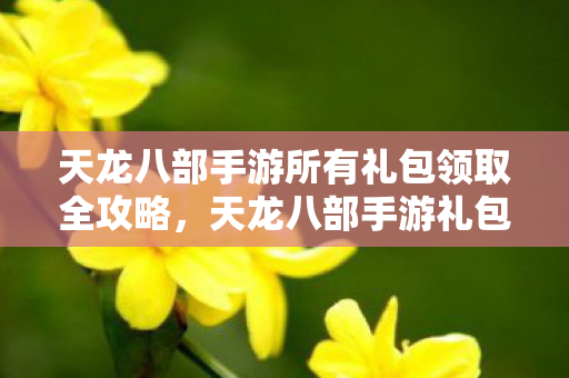 天龙八部手游所有礼包领取全攻略图片