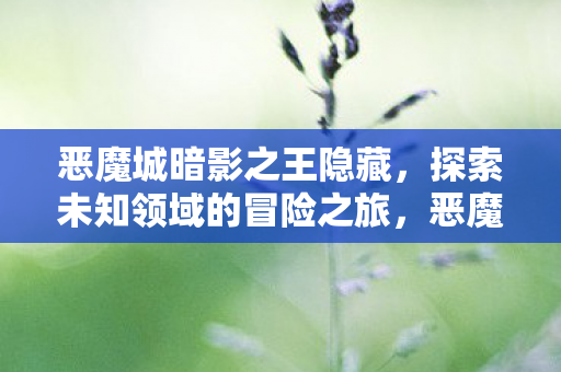 恶魔城暗影之王隐藏区域探索图片