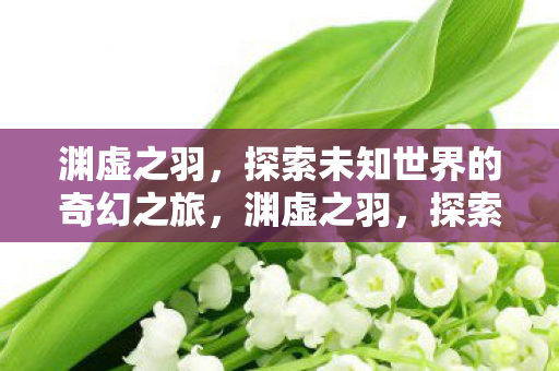 渊虚之羽，探索未知世界的奇幻之旅，渊虚之羽，探索未知世界的奇幻之旅