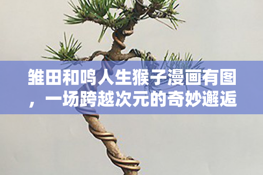 雏田和鸣人生猴子漫画有图，一场跨越次元的奇妙邂逅，雏田与鸣人，一场跨越次元的奇妙邂逅