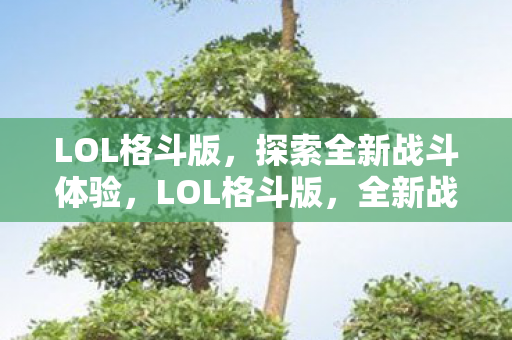 LOL格斗版，探索全新战斗体验，LOL格斗版，全新战斗体验等你来探索