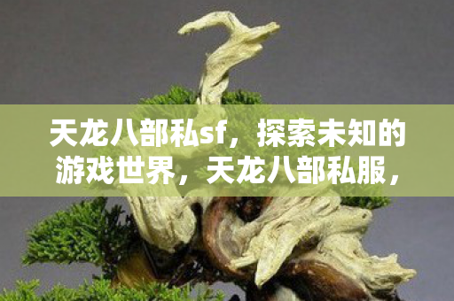 天龙八部私sf，探索未知的游戏世界，天龙八部私服，探索未知的游戏世界