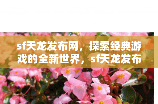 sf天龙发布网,探索经典游戏的全新世界,sf天龙发布网,探索经典游戏的全新世界 sf天龙发布网,探索经典游戏的全新世界,sf天龙发布网,探索经典游戏的全新世界