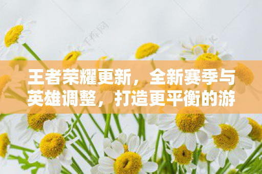 王者荣耀全新赛季与英雄调整图片