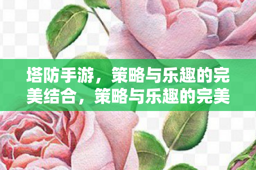 塔防手游，策略与乐趣的完美结合，策略与乐趣的完美结合，塔防手游