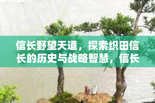 信长野望天道,探索织田信长的历史与战略智慧,信长野望天道,探索织田信长的历史与战略智慧 信长野望天道,探索织田信长的历史与战略智慧,信长野望天道,探索织田信长的历史与战略智慧