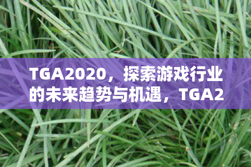 TGA2020，探索游戏行业的未来趋势与机遇，TGA2020，探索游戏行业未来趋势与机遇