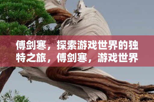 傅剑寒，探索游戏世界的独特之旅，傅剑寒，游戏世界的独特探索之旅