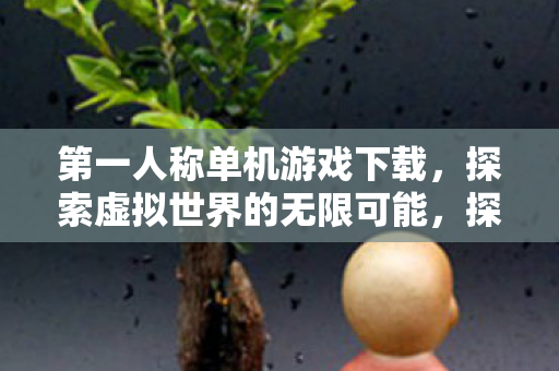 第一人称单机游戏下载，探索虚拟世界的无限可能，探索虚拟世界的无限可能，第一人称单机游戏下载