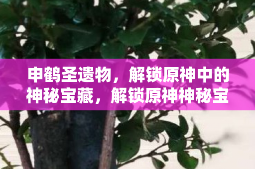 申鹤圣遗物,解锁原神中的神秘宝藏,解锁原神神秘宝藏,申鹤圣遗物全解析 申鹤圣遗物,解锁原神中的神秘宝藏,解锁原神神秘宝藏,申鹤圣遗物全解析