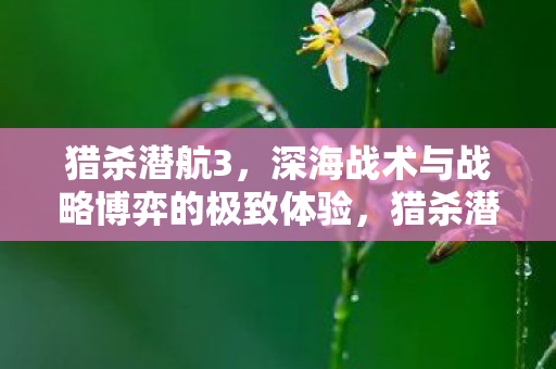 猎杀潜航3，深海战术与战略博弈的极致体验，猎杀潜航3，深海战术与战略博弈的极致体验