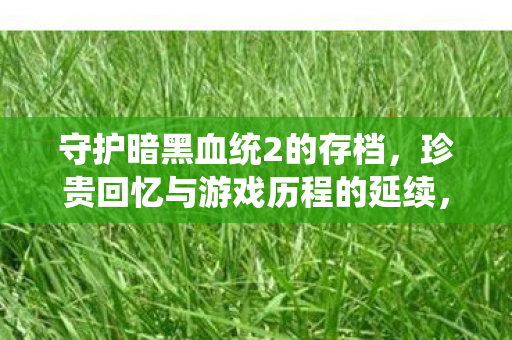 守护暗黑血统2的存档，珍贵回忆与游戏历程的延续，守护暗黑血统2的存档，珍贵回忆与游戏历程的延续