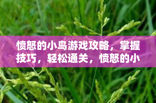 愤怒的小鸟游戏攻略，掌握技巧，轻松通关，愤怒的小鸟游戏通关攻略，掌握技巧，轻松获胜