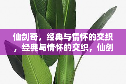 仙剑奇,经典与情怀的交织,经典与情怀的交织,仙剑奇 仙剑奇,经典与情怀的交织,经典与情怀的交织,仙剑奇