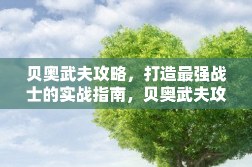 贝奥武夫攻略，打造最强战士的实战指南，贝奥武夫攻略，打造最强战士的实战指南