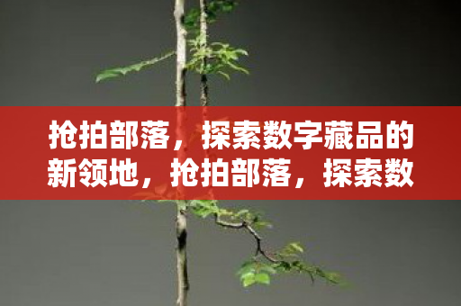 抢拍部落，探索数字藏品的新领地，抢拍部落，探索数字藏品新领地
