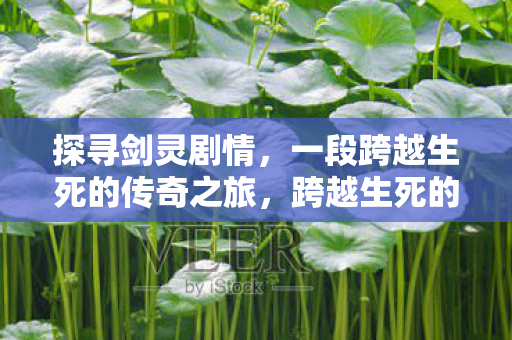 探寻剑灵剧情，一段跨越生死的传奇之旅，跨越生死的传奇，探寻剑灵剧情
