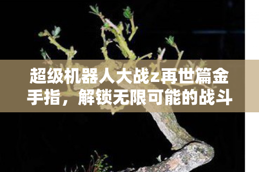 超级机器人大战z再世篇金手指,解锁无限可能的战斗体验,超级机器人大战Z再世篇金手指解锁,无限战斗体验等你来挑战 超级机器人大战z再世篇金手指,解锁无限可能的战斗体验,超级机器人大战Z再世篇金手指解锁,无限战斗体验等你来挑战