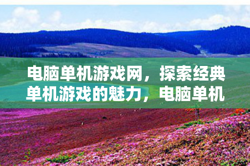 电脑单机游戏网，探索经典单机游戏的魅力，电脑单机游戏网，重温经典单机游戏魅力