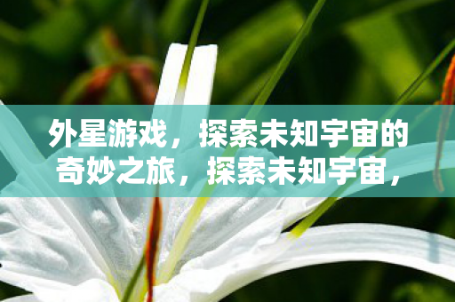 外星游戏，探索未知宇宙的奇妙之旅，探索未知宇宙，外星游戏奇妙之旅