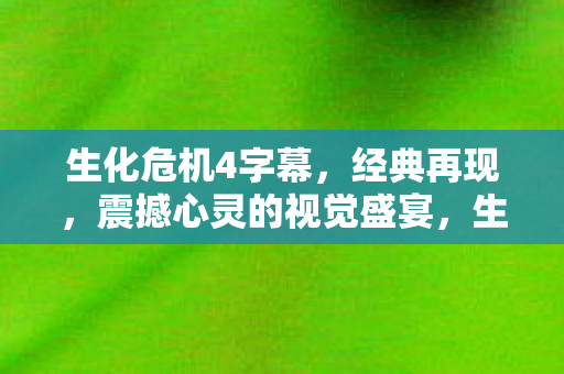 生化危机4字幕，经典再现，震撼心灵的视觉盛宴，生化危机4字幕，经典再现的视觉盛宴