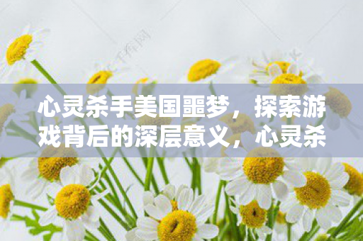 心灵杀手美国噩梦，探索游戏背后的深层意义，心灵杀手美国噩梦，探索游戏背后的深层意义