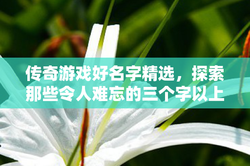 探索那些令人难忘的三个字以上名字图片