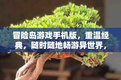 随时随地畅游异世界图片