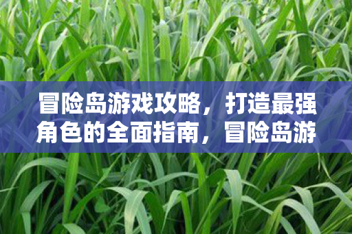 打造最强角色的全面指南图片