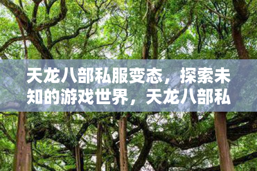 天龙八部私服变态，探索未知的游戏世界，天龙八部私服变态版，探索未知的游戏世界