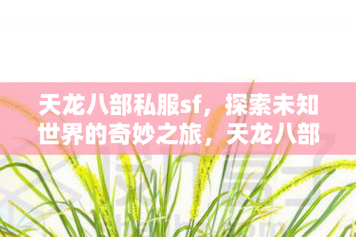 天龙八部私服sf，探索未知世界的奇妙之旅，天龙八部私服sf，开启探索未知世界的奇妙旅程