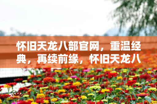 怀旧天龙八部官网，重温经典，再续前缘，怀旧天龙八部官网，重温经典，再续前缘