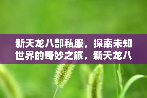 新天龙八部私服，探索未知世界的奇妙之旅，新天龙八部私服，探索未知世界的奇妙冒险之旅
