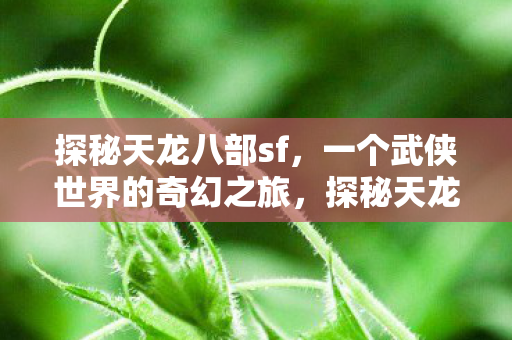 探秘天龙八部sf,一个武侠世界的奇幻之旅,探秘天龙八部sf的武侠奇幻之旅 探秘天龙八部sf,一个武侠世界的奇幻之旅,探秘天龙八部sf的武侠奇幻之旅