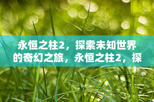永恒之柱2,探索未知世界的奇幻之旅,永恒之柱2,探索未知世界的奇幻冒险之旅 永恒之柱2,探索未知世界的奇幻之旅,永恒之柱2,探索未知世界的奇幻冒险之旅